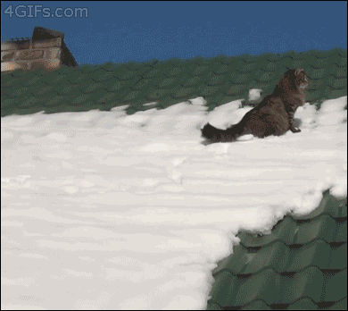 FO7ECvS.gif