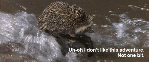 Kpstk.gif