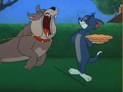 d923b99ae7193de31ae54baaf69722f4.gif