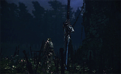 tumblr_mpg13bZfZR1qzvbepo1_r1_250.gif