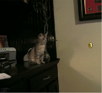 tumblr_odsk6d4Ua61tyncywo1_400.gif
