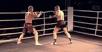 tumblr_mw65vauk7U1ry1rm7o1_400.gif