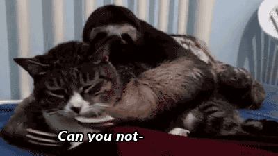 LOLqaN1.gif