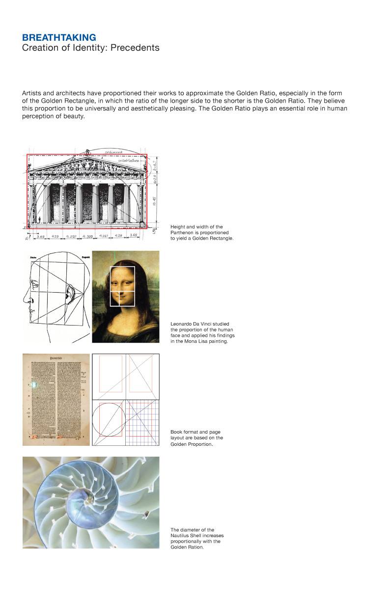 pepsi_gravitational_field_p18.jpg