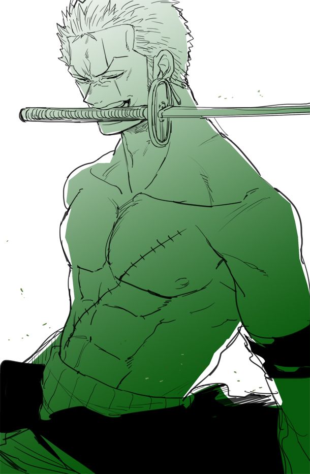 3012c73ff6a053c2c7b11369a068b239--zoro-roronoa-bara-yaoi.jpg