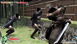 tenchu-shinobi-taizen-20050602083709933.jpg