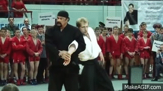 stevenseagal.gif