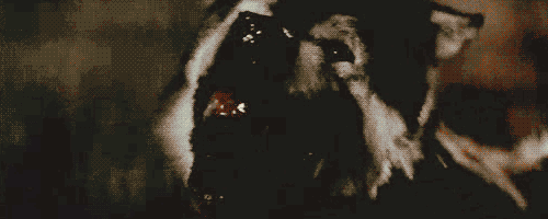 W63lfqP.gif