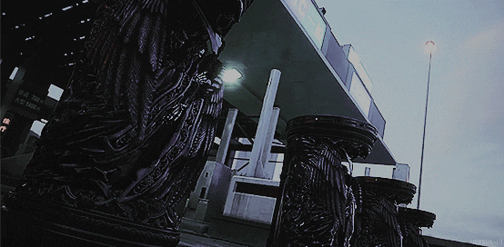 tumblr_pedqt3hKoF1xetiwfo2_540.gifv