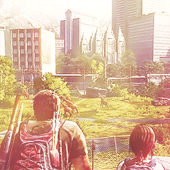 tumblr_mpcapsNllX1rhsqf5o2_250.gif