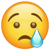 crying-face_1f622.png