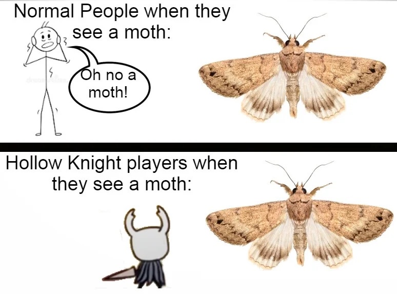 iy4zwpU.jpeg
