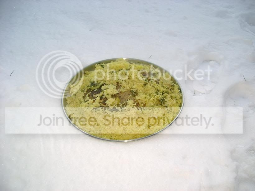 DSC00664.jpg