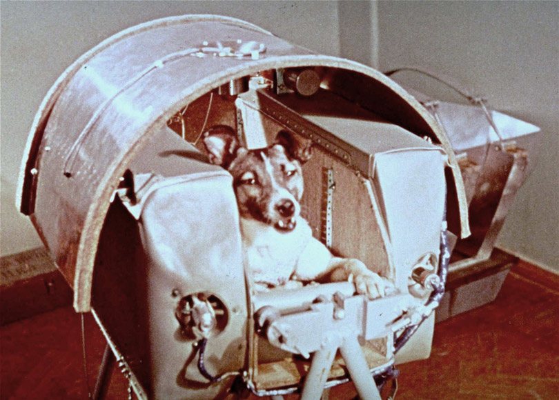 8gv9sMv.jpg