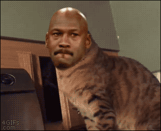 tumblr_nm7x7wwj5o1tlb56zo1_400.gif