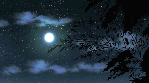 3f923b94ed539dd806d7a50168597bd0.gif