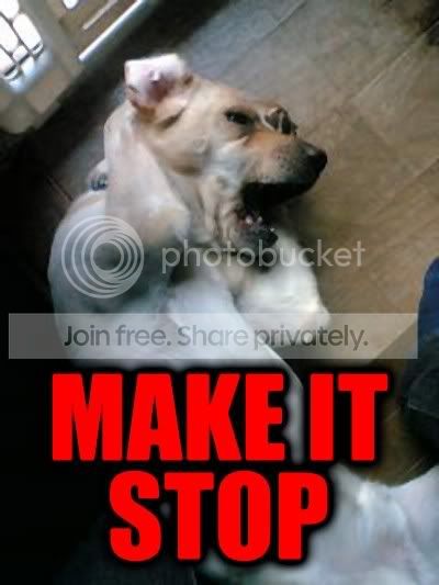 make-it-stop.jpg