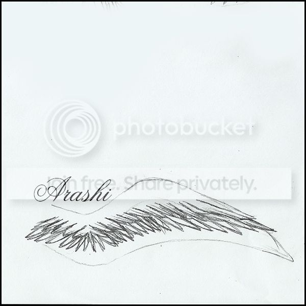 birdd-3.jpg