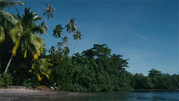 tumblr_nsi7kjSeTj1rc7zl1o1_400.gif