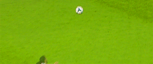 tumblr_mtjtfdr6sY1sicxw8o1_500.gif