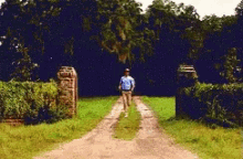 fast-run-run.gif