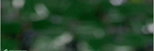 13227838171.gif