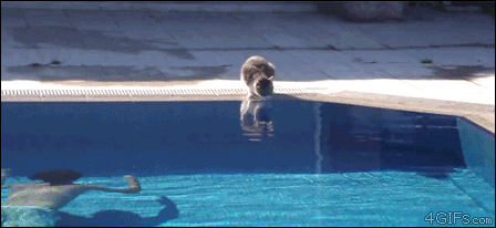RtNUORF.gif