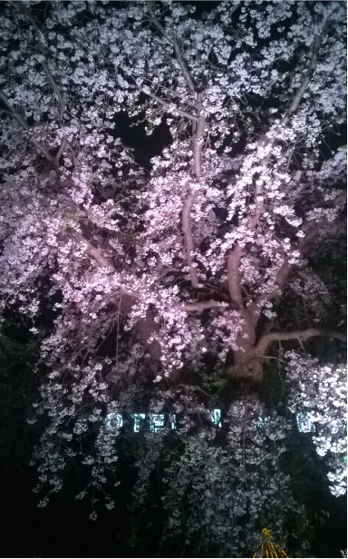 OsL9kwf.png