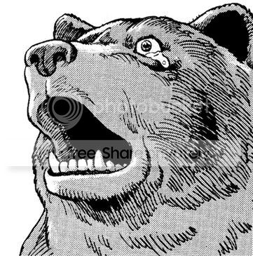 NOOOOBEAR.jpg