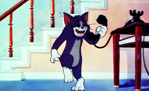 cJWz4FT.gif