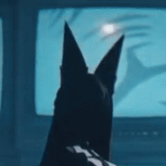 Emk3hv9.gif