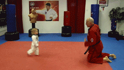 6Kcmmaj.gif