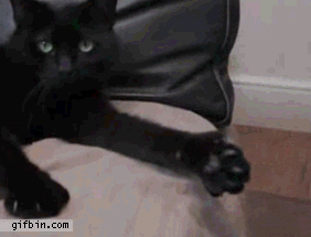 WreV.gif