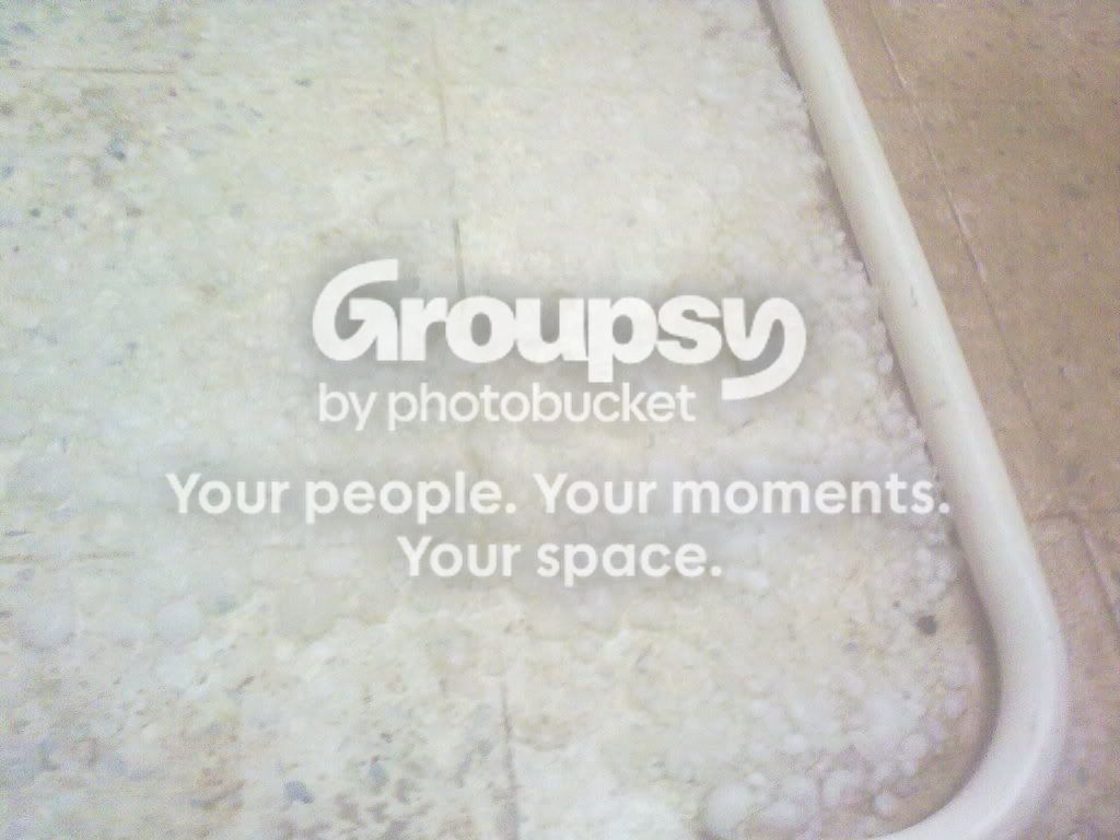 03052010810.jpg