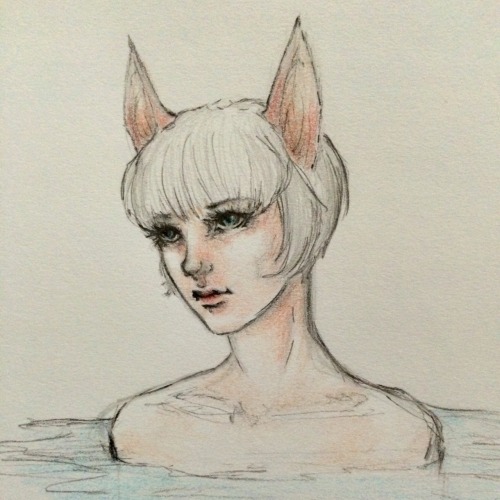 tumblr_n5klffTvlw1qb106oo1_500.jpg