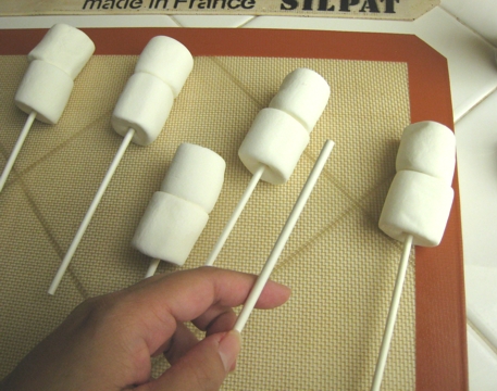 on-a-stick.jpg