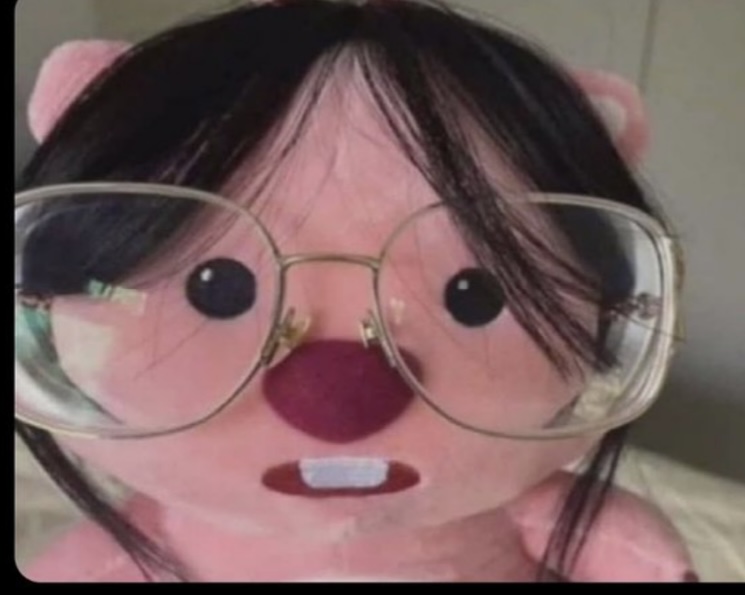 176421605662291.jpeg