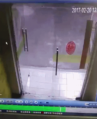 giphy.gif