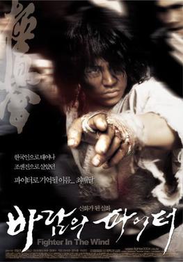 Fighter_in_the_Wind_movie_poster.jpg