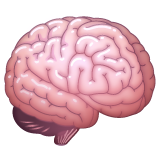 brain_1f9e0.png
