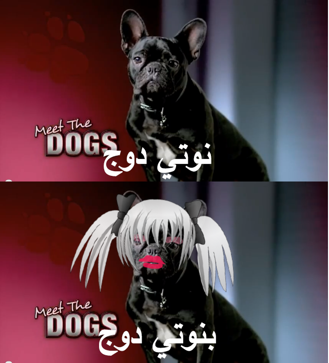 zc5JJyI.png