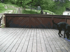 tumblr_m09u09jyo31qzrlhgo2_250.gif