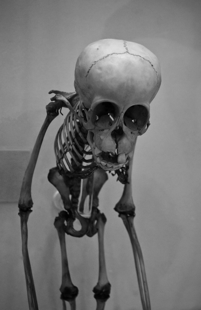 5800443263_8d9ca9c909_b.jpg