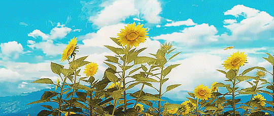tumblr_piz0vksS8G1xulpawo1_540.gifv