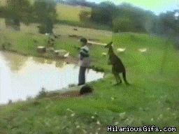 giphy.gif