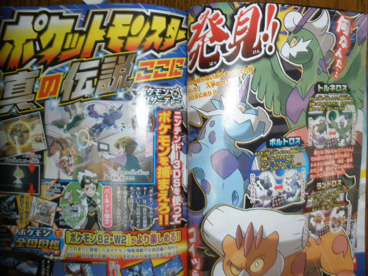 JuneCoroCoro31.jpg