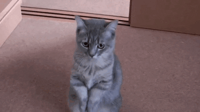 u31l19o.gif