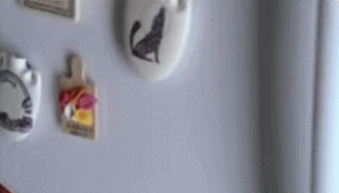 uvxZyjF.gif