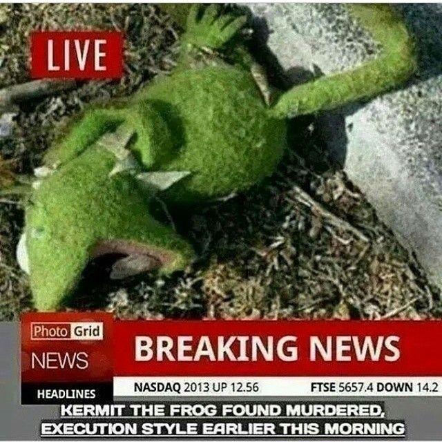 755aef91b49bc3815157a562099c8680--snitch-kermit-the-frog.jpg