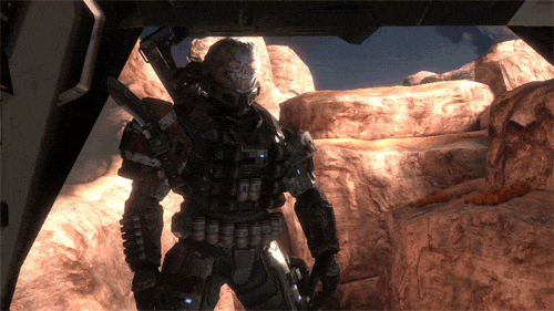 49502320442_3a45f2a5a7_o_d.gif